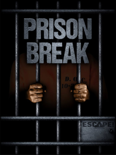 Escape Amstetten Prison Break